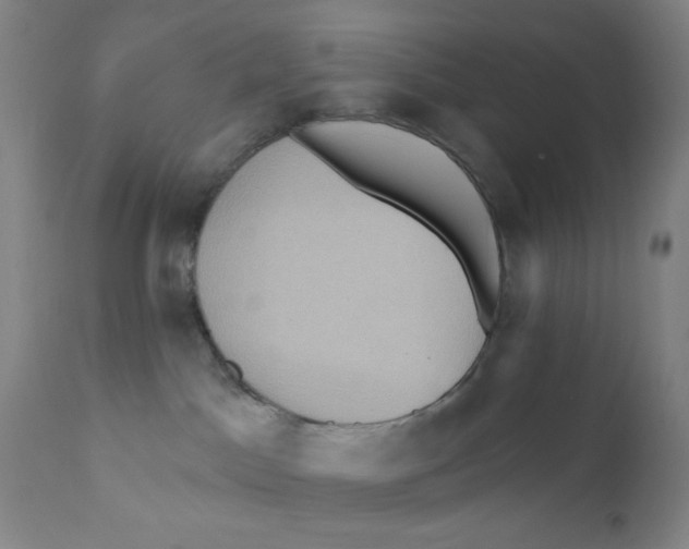 X0000112160045200909041137