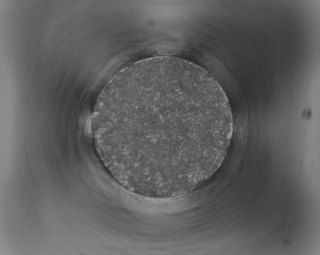 X0000112160046200909041137