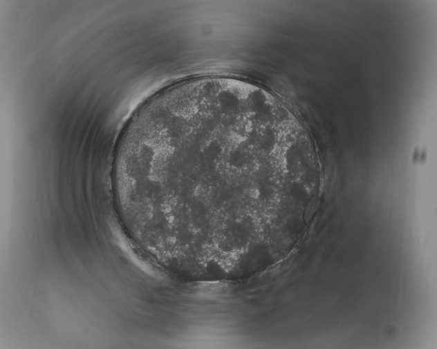 X0000112160050200909041136