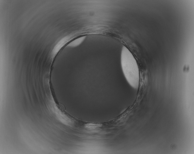 X0000112160051200909041136