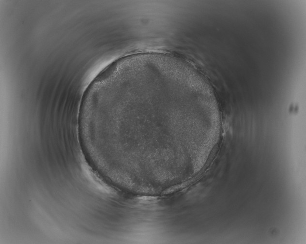 X0000112160052200909041136