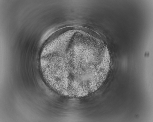 X0000112160053200909041136