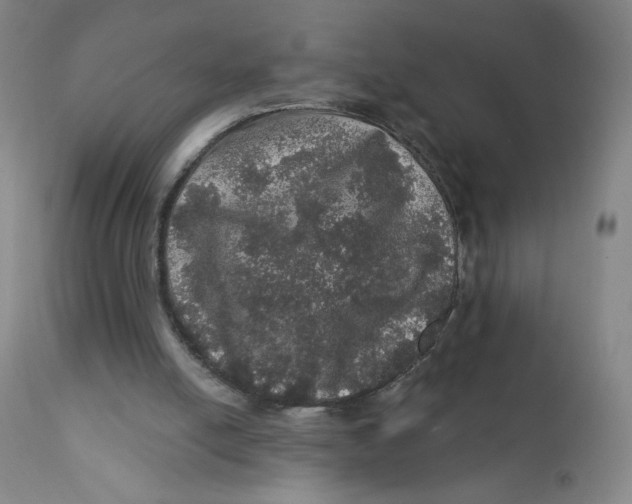 X0000112160054200909041136