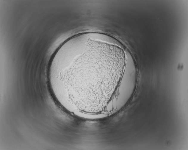 X0000112160055200909041136