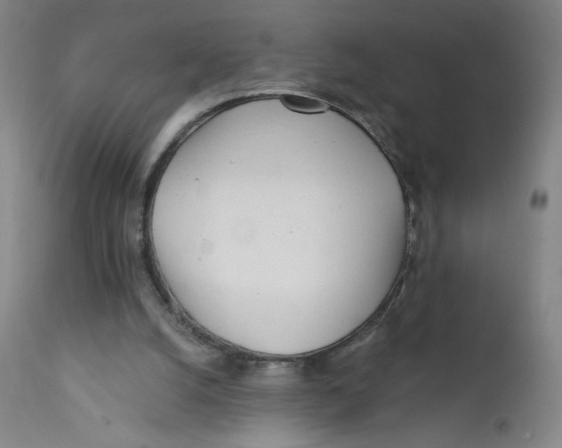 X0000112160056200909041136