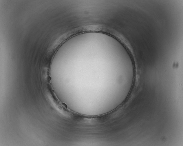 X0000112160057200909041136