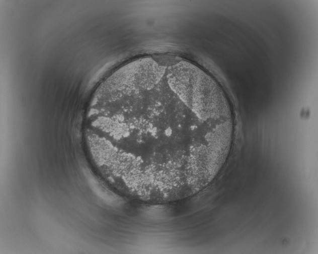X0000112160058200909041136