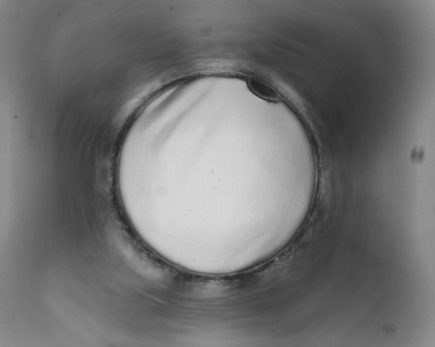 X0000112160059200909041136