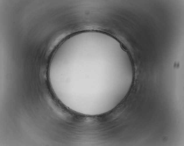 X0000112160060200909041136