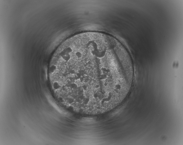 X0000112160061200909041136