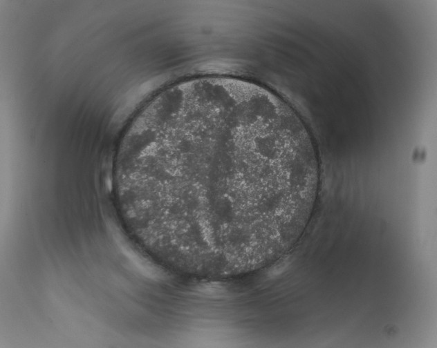 X0000112160062200909041136