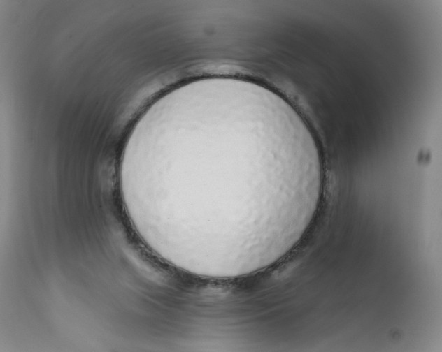 X0000112160063200909041136