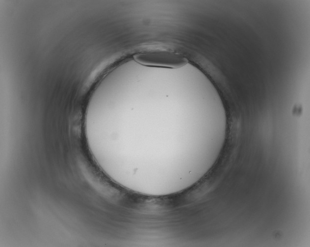 X0000112160064200909041136
