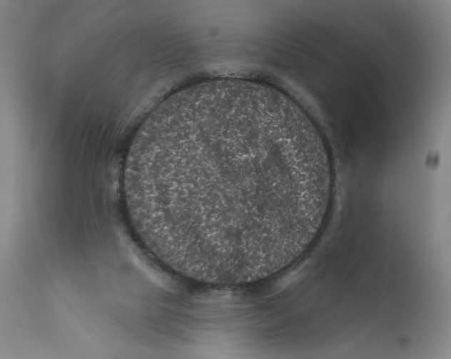 X0000112160065200909041136