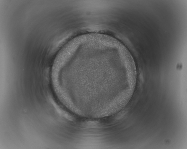 X0000112160066200909041136