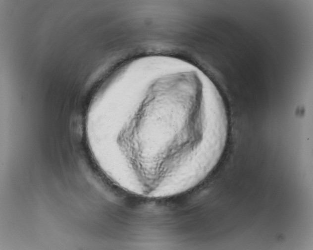 X0000112160067200909041136