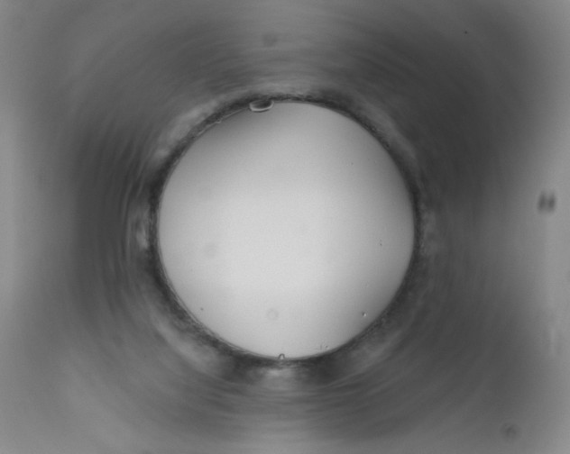 X0000112160068200909041136