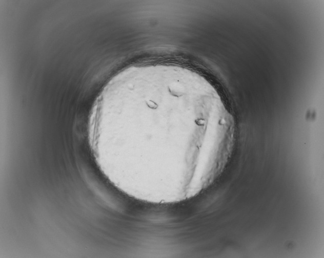 X0000112160069200909041136