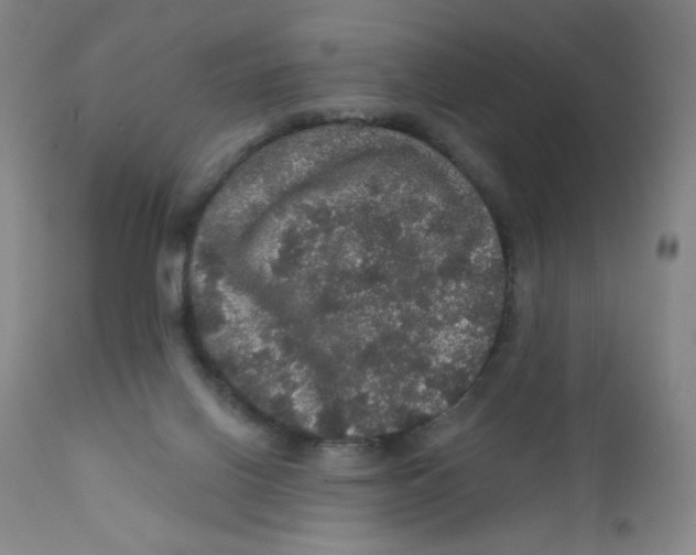 X0000112160070200909041136
