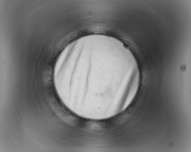 X0000112160073200909041136