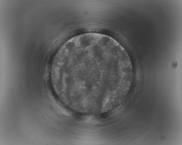 X0000112160074200909041136