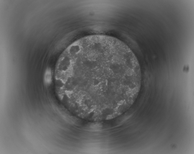 X0000112160075200909041136