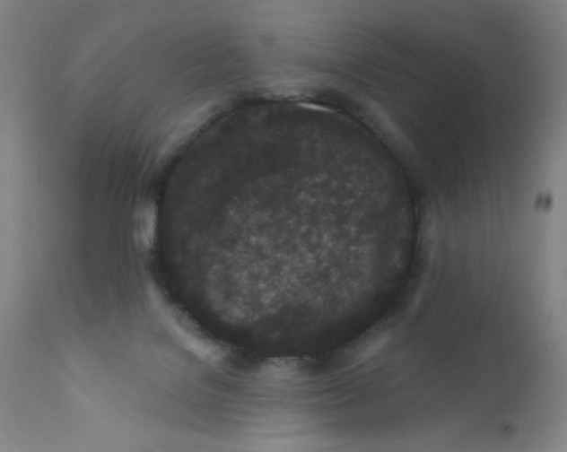 X0000112160076200909041136
