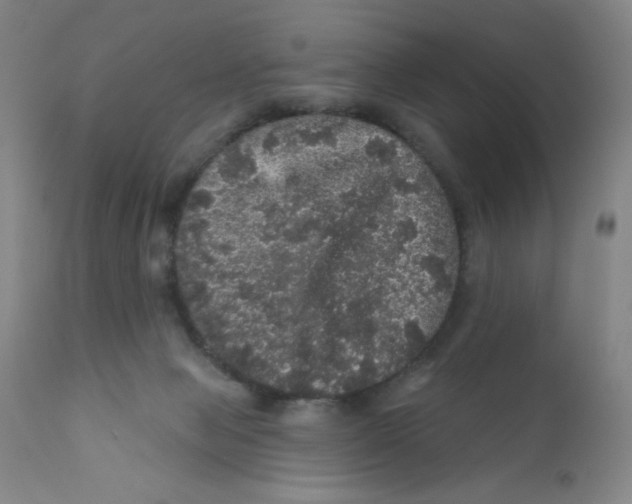 X0000112160077200909041136