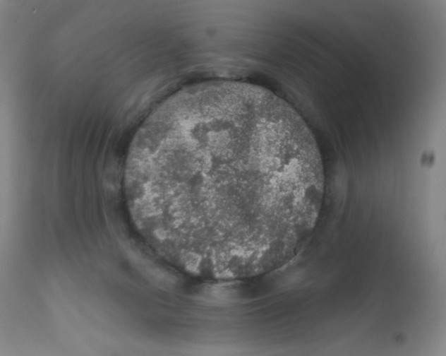 X0000112160078200909041136