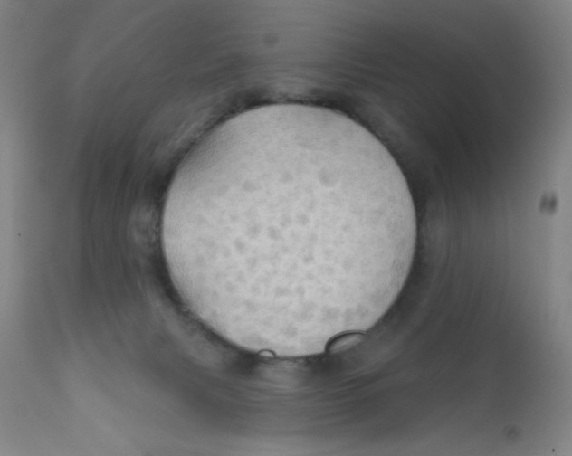 X0000112160079200909041136