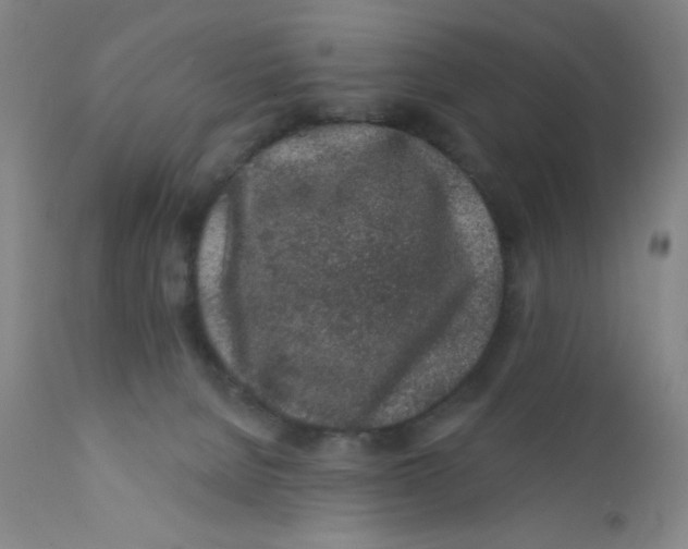 X0000112160080200909041136