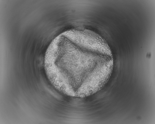 X0000112160081200909041136