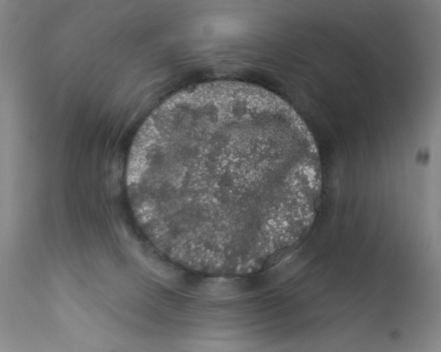 X0000112160082200909041136