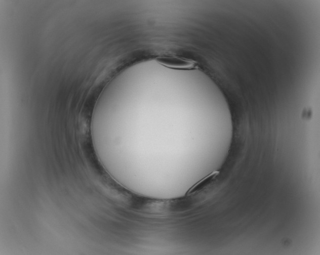 X0000112160084200909041136