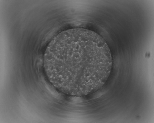 X0000112160085200909041136