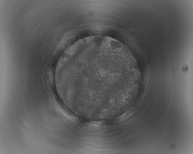 X0000112160086200909041136