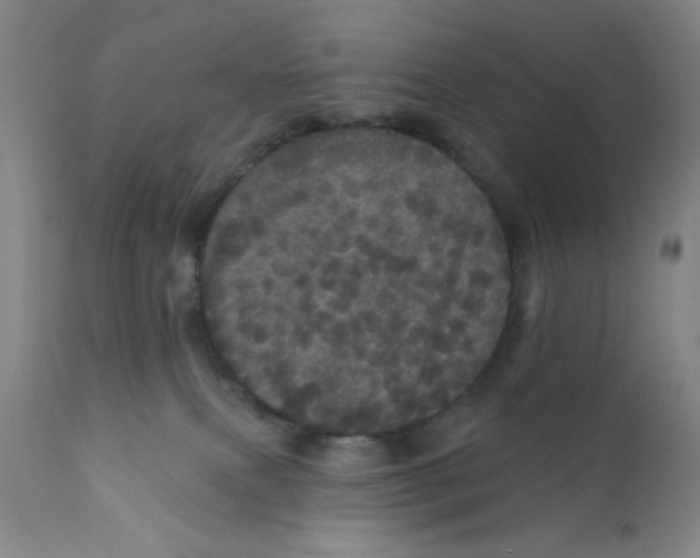 X0000112160087200909041136