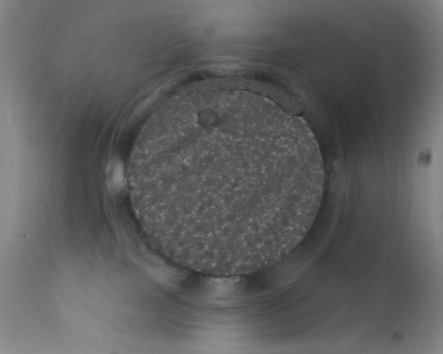 X0000112160089200909041136