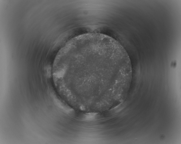 X0000112160090200909041136