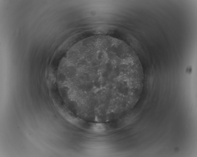 X0000112160091200909041136
