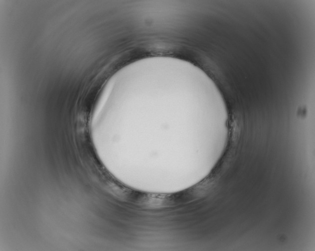 X0000112160093200909041136