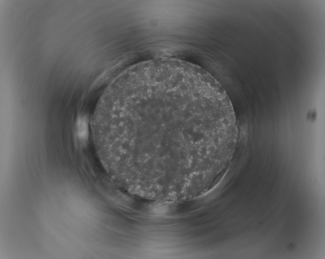 X0000112160094200909041136