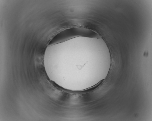 X0000112160096200909041136