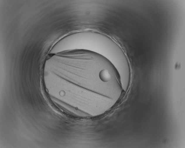 X0000112160097200909041136