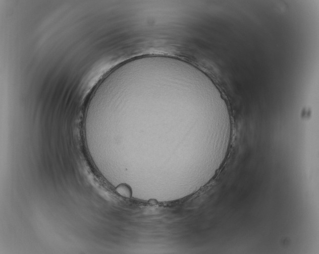 X0000112160098200909041136
