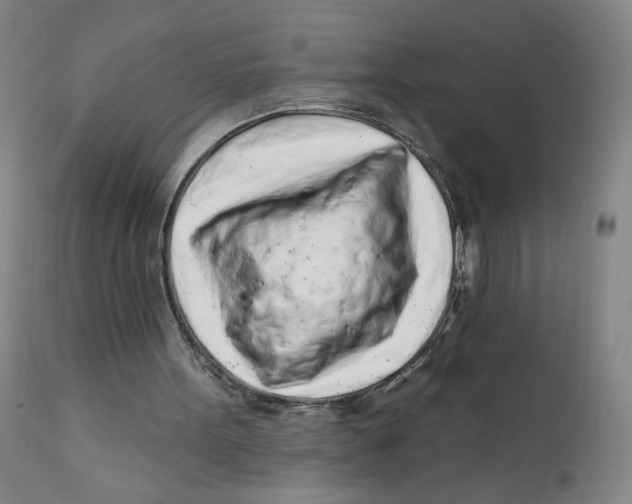 X0000112160099200909041136