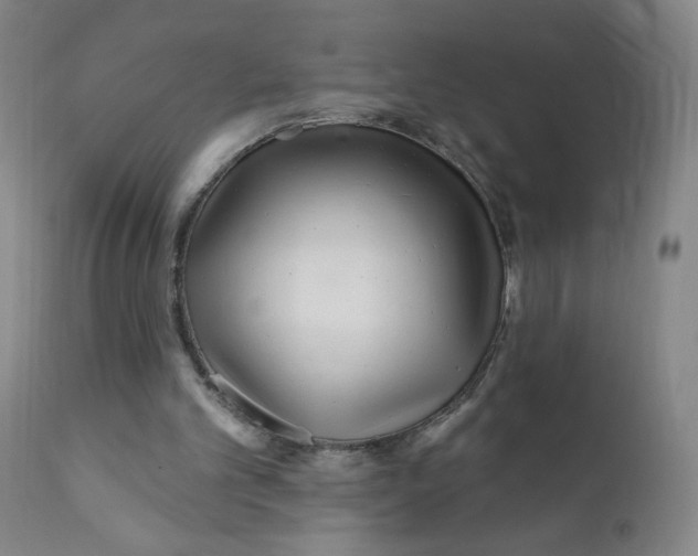 X0000112160101200909041136