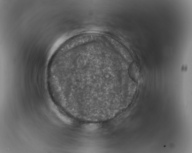 X0000112160102200909041136