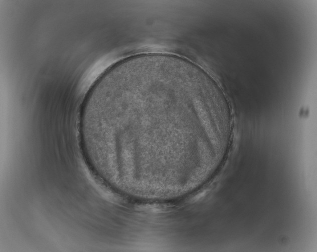X0000112160103200909041136
