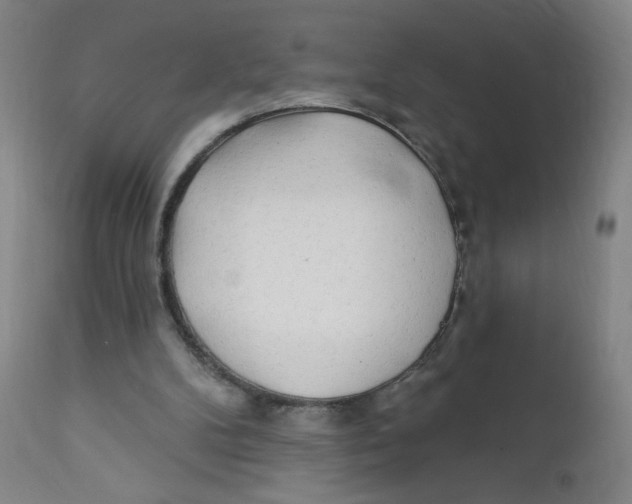 X0000112160104200909041136